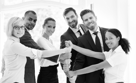 Zespół transparentnych